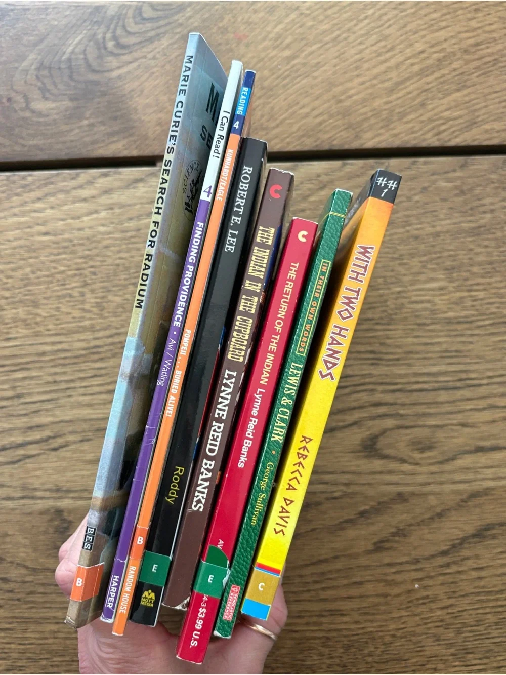 Homeschool Chapter History & Biography Children's Books